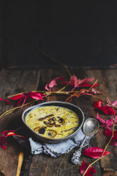 Bowl of cheese soup with leek and mushrooms - SBDF03379