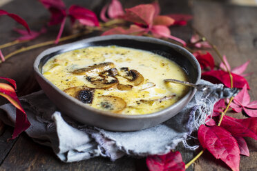 Schüssel Käsesuppe mit Lauch und Pilzen - SBDF03380