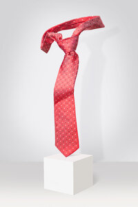 Symbolisches Bild einer Auszeichnung für gute Leistungen im Geschäftsleben, Krawatte - VTF00608