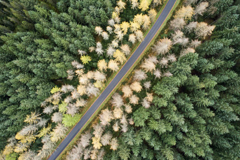 Great Britain, Scotland, pine forest and road stock photo