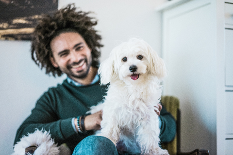 Niedlicher kleiner weißer Hund sitzt auf dem Schoß seines glücklichen Besitzers, lizenzfreies Stockfoto