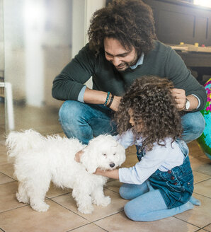 Vater und Tochter spielen mit einem kleinen Hund zu Hause - MOEF00328
