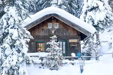 Austria, Altenmarkt-Zauchensee, Christmas tree at wooden house in snow - HHF05527