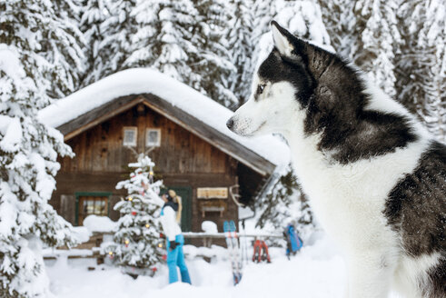 Austria, Altenmarkt-Zauchensee, dog in snow with woman at hut in background - HHF05530