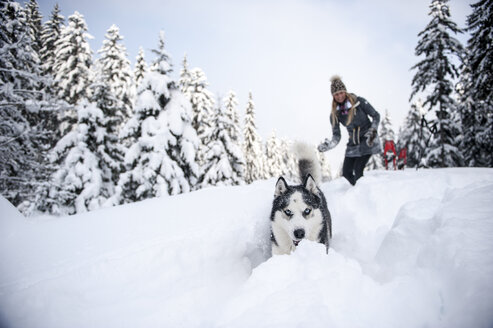 Austria, Altenmarkt-Zauchensee, young woman with dog in winter forest - HHF05531