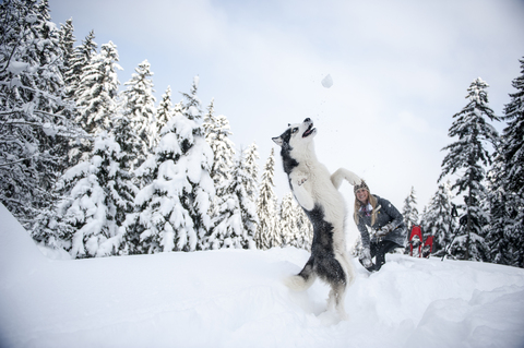 Austria, Altenmarkt-Zauchensee, young woman with dog in winter forest stock photo