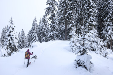 Österreich, Altenmarkt-Zauchensee, junge Frau mit Hund auf Skitour im Winterwald - HHF05533
