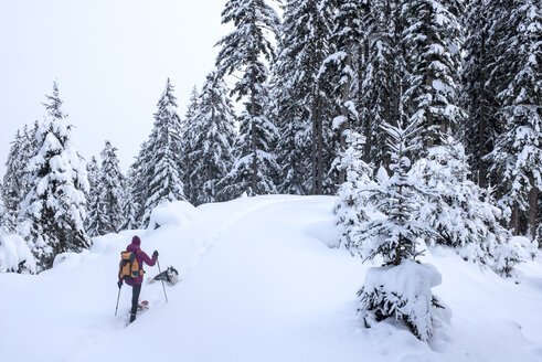 Austria, Altenmarkt-Zauchensee, young woman with dog on ski tour in winter forest - HHF05533