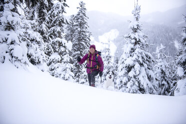 Austria, Altenmarkt-Zauchensee, young woman with dog on ski tour in winter forest - HHF05535