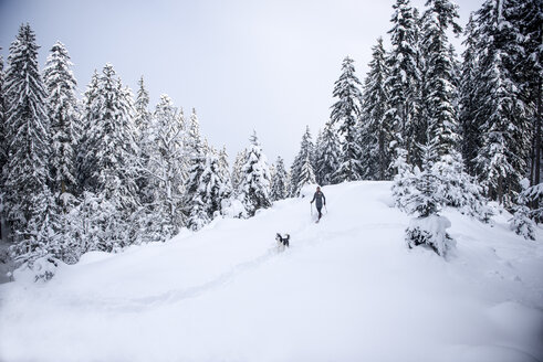 Austria, Altenmarkt-Zauchensee, young woman with dog on snowshoe hike in winter forest - HHF05536