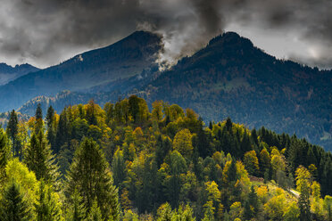 Germany, Bavaria, Upper Bavaria, Allgaeu Alps, View from Hofmannsruh near Oberstdorf to Soellereck - WGF01139