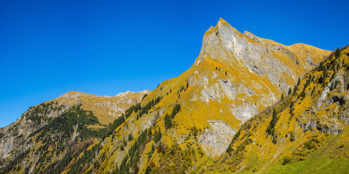 Deutschland, Bayern, Allgäu, Oytal, herbstlicher Wald in den Allgäuer Alpen mit Himmelhorn - WGF01142