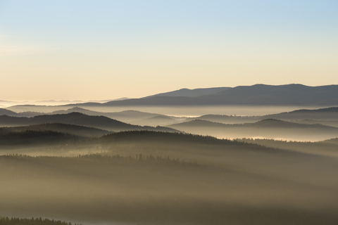 Germany, Bavaria, Lower Bavaria, Bavarian Forest National Park, near Finsterau, View from Siebensteinkopf, morning fog and National Park Sumava in Czechia stock photo