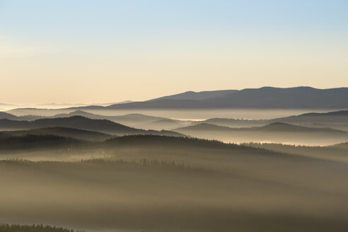 Deutschland, Bayern, Niederbayern, Nationalpark Bayerischer Wald, bei Finsterau, Blick vom Siebensteinkopf, Morgennebel und Nationalpark Sumava in Tschechien - SIEF07609