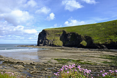 Großbritannien, England, Cornwall, Bucht von Crackington Haven - SIEF07611