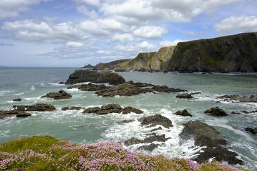 Großbritannien, England, Devon, Hartland, Hartland Quay, Steilküste - SIEF07614