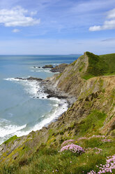 Großbritannien, England, Devon, Hartland, Hartland Quay, Felsenküste, Lundy Island - SIEF07618