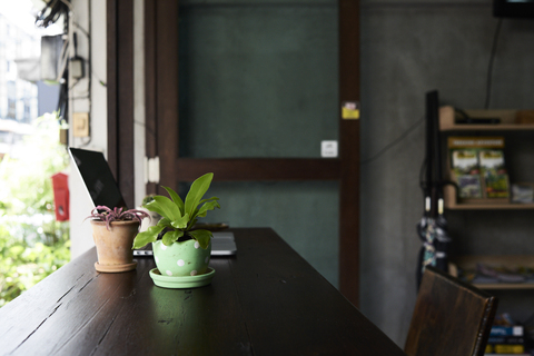 Laptop on wooden table with plants stock photo