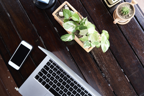 Overhead view of cell phone and laptop on wooden table with plants stock photo