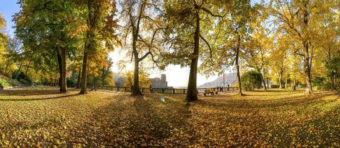 Germany, Baden-Wuerttemberg, Heidelberg, palace garden in autumn stock photo