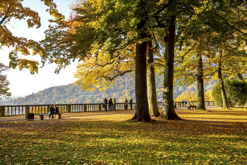 Deutschland, Baden-Württemberg, Heidelberg, Schlosspark im Herbst - PUF00951