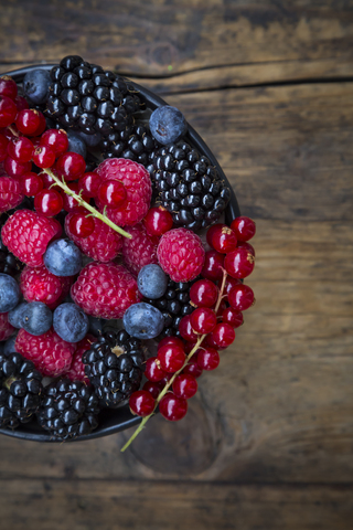 Wilde Beeren in der Schale, lizenzfreies Stockfoto