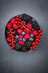 Wild berries in bowl - LVF06444