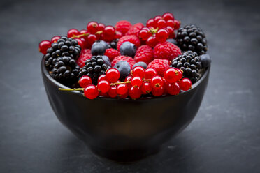 Wild berries in bowl - LVF06445