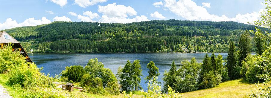 Germany, overview of Lake Titisee in the Black Forest - KIJF01719