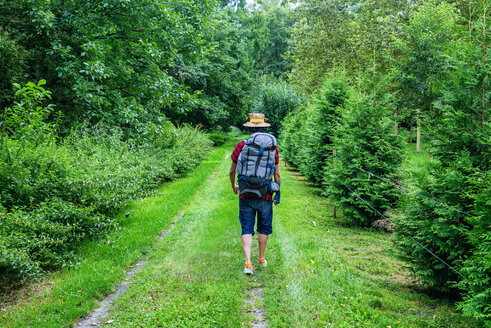 France, Strasbourg, man with travel backpack and straw hat walking on forest path - KIJF01732