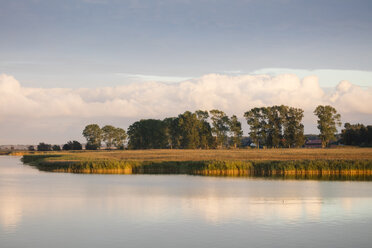 Deutschland, Fischland-Darss-Zingst, Nationalpark Vorpommersches Haffgebiet, Blick auf die Insel Kirr, Bodden im Herbst - WIF03462