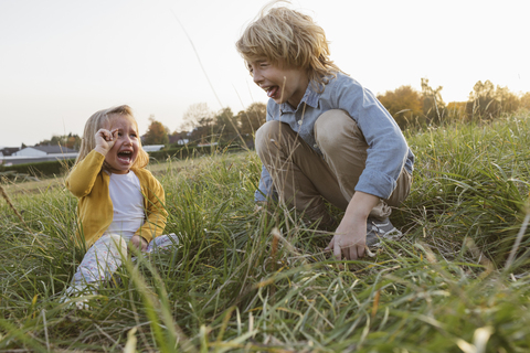 Bruder und seine kleine Schwester schreien auf einer Wiese, lizenzfreies Stockfoto