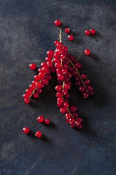 Red currants on dark metal - CSF28556