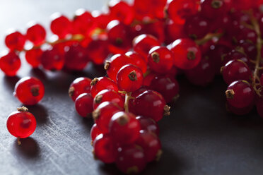 Red currants, close-up - CSF28557