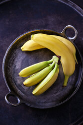 Various bananas - CSF28560