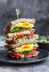 Sandwich mit Ei, Salat, Gurke, Tomate, Lachs, Avocado und Zwiebel - SARF03434