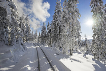 Germany, Saxony-Anhalt, Harz National Park, Brocken, rail tracks of Harz Narrow Gauge Railway in winter against the sun - PVCF01183