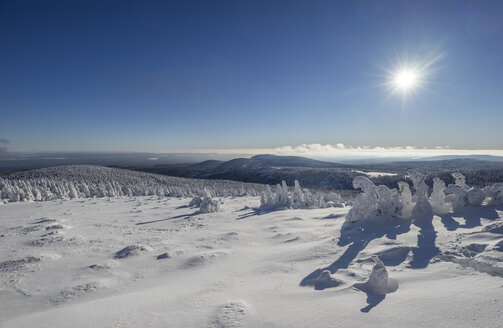 Deutschland, Sachsen-Anhalt, Nationalpark Harz Brocken im Winter gegen die Sonne - PVCF01186