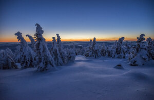 Deutschland, Sachsen-Anhalt, Nationalpark Harz Brocken im Winter am Abend - PVCF01189