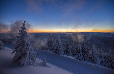 Deutschland, Sachsen-Anhalt, Nationalpark Harz im Winter am Abend - PVCF01190