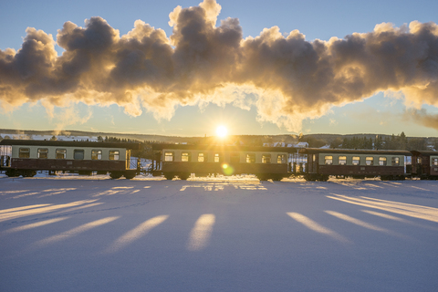 Germany, Saxony-Anhalt, Trans-Harz Railway of Harz Narrow Gauge Railway against evening sun stock photo