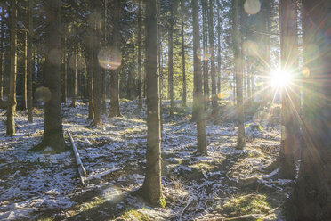 Deutschland, Niedersachsen, Altenau, Naturpark Harz im Winter, gegen Morgensonne - PVCF01194