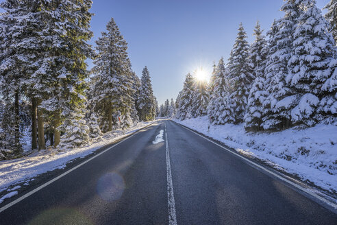 Germany, Lower Saxony, Harz National Park, country road in the morning - PVCF01196