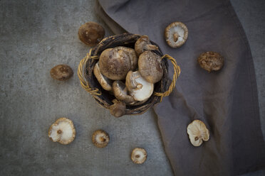 Bio-Shitake-Pilze im Korb und auf Stein - LVF06465