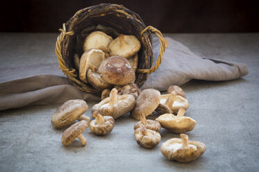 Organic shitake mushrooms in basket and on stone - LVF06466