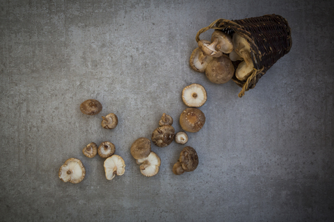 Organic shitake mushrooms in basket and on stone stock photo