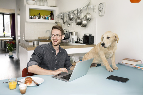 Portrait of happy man with dog using laptop in kitchen at home stock photo