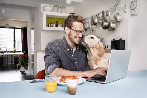 Smiling man with dog using laptop in kitchen at home - PESF00764