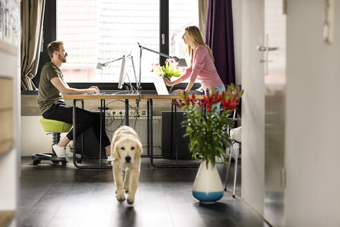 Mann und Frau mit Hund arbeiten am Schreibtisch zu Hause - PESF00770