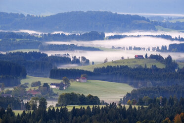 Deutschland, Bayern, Oberbayern, Allgäu, Pfaffenwinkel, Blick vom Auerberg bei Bernbeuren, Morgennebel - SIEF07635